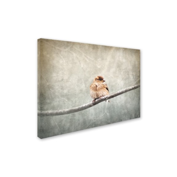 Jai Johnson 'Sparrow Braving The Cold' Canvas Art,14x19